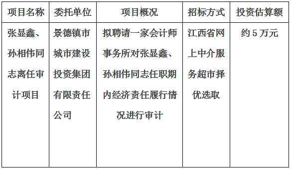 張顯鑫、孫相偉同志離任審計(jì)項(xiàng)目計(jì)劃公告